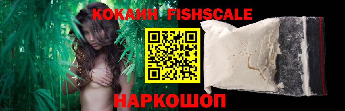 COCAIN  COCAIN Fish Scale  Вход с VPN  COCAIN 97%  где можно купить   Гусев 