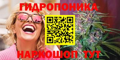 стафф Белореченск