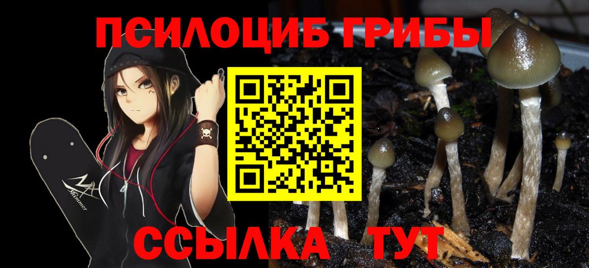 Псилоцибиновые грибы Psilocybe  Вход с VPN  Псилоцибиновые грибы GOLDEN TEACHER  Гусев 